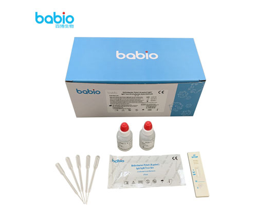 Helicobacter pylori (H.pylori) IgG/ IgM Test Kit Procedura de testare