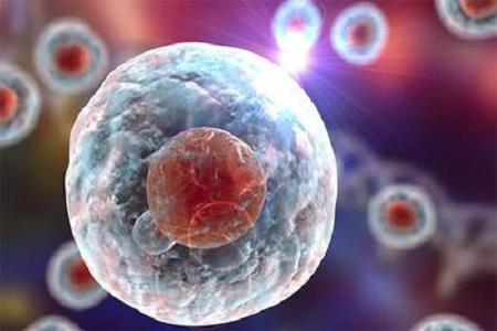 BABIO lansează soluție de înaltă calitate Giemsa Stopa B pentru diagnosticare citogenetică și hematologică avansată