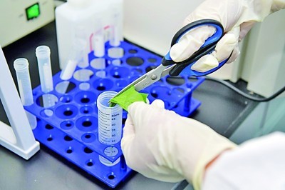 Identificarea bacteriană fiabilă simplă cu kitul de pata Gram de la Babio