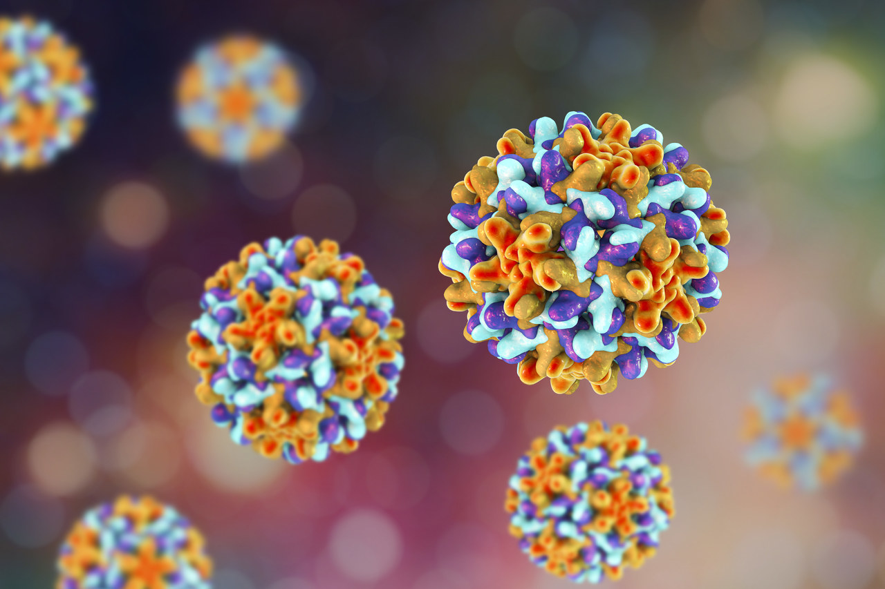 Soluție de transport fiabilă pentru microbiologie clinică: Media Amies Liquid AMIES a lui Babio