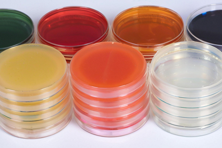 SAPOURAUD DEXTROSE SAPOURAUD AGAR (SDA) de Babio