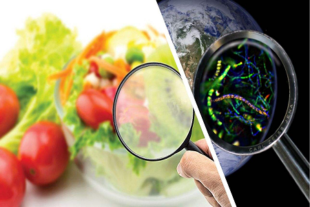 BABIO lansează o casetă de testare rapidă a aflatoxinei B1 pentru controlul global al siguranței alimentare