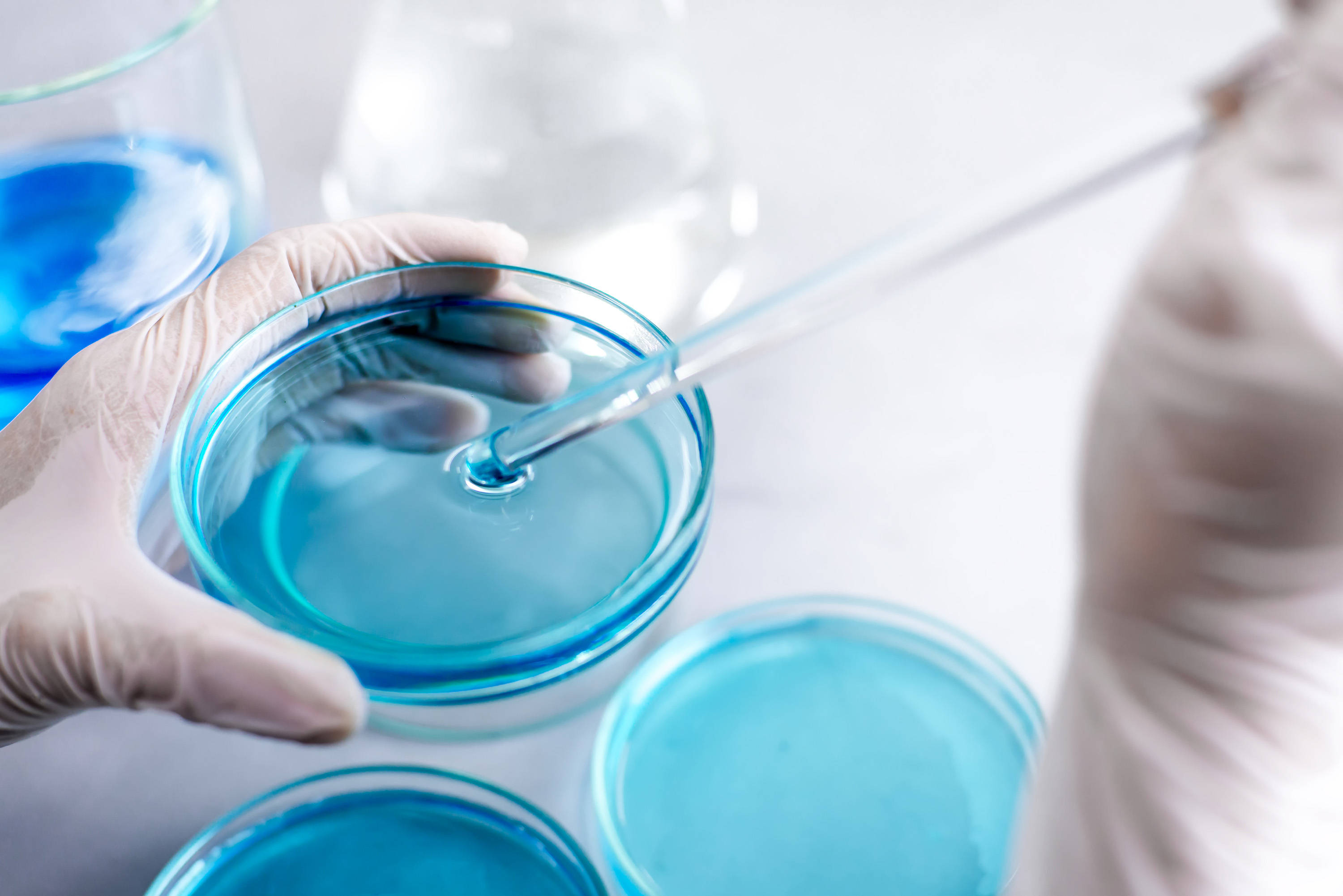 BABIO introduce un mediu SDA de încredere pentru detectarea fungilor