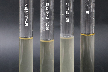 Babio Biotechnology lansează un bulion de perfuzie pentru inimă pentru creier de înaltă performanță pentru cultivarea microbiană de încredere