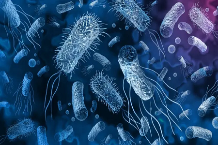 Vă prezentăm peria cervicală sterilă de unică folosință de la Baibo Biotechnology: precizie în testele ginecologice